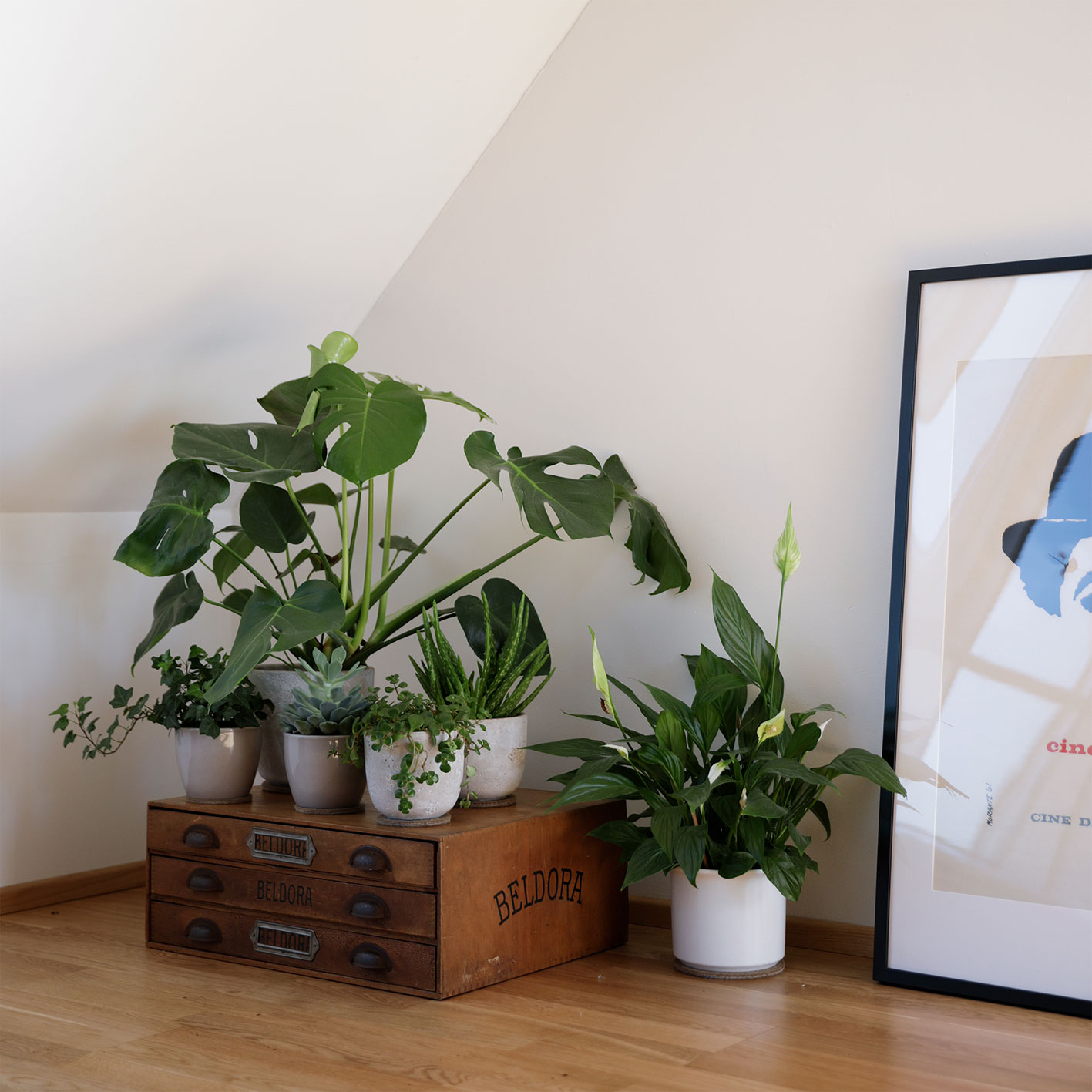 Pflanzen Wohnzimmer, Deko-Ideen für Zuhause, Grün Wohnen, nachhaltige Dekoration