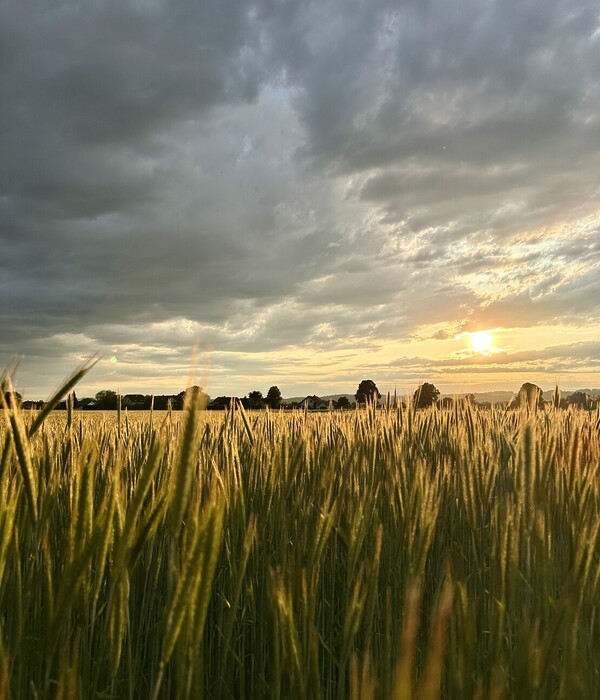 Schöne Landschaft in Österreich erhalten und schützen - Mondschein Design ist ein umweltbewusstes nachhaltiges Modelabel.